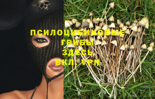 MESCALINE Богданович